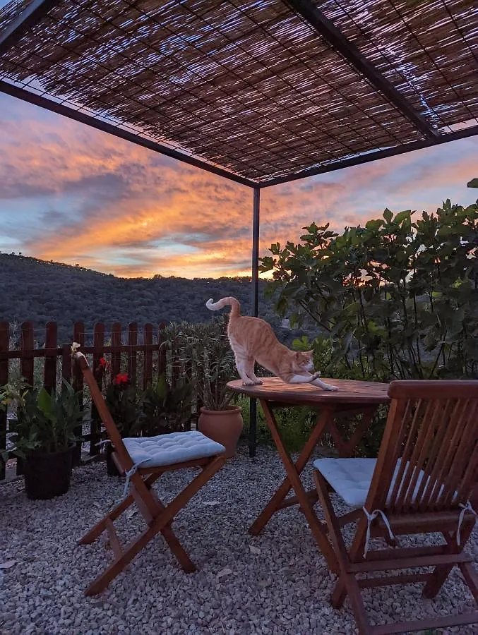 Finca Bravo Cortegana
