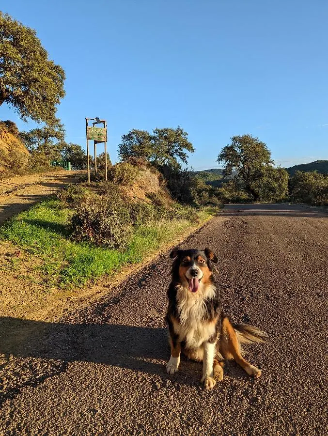 Finca Bravo Cortegana
