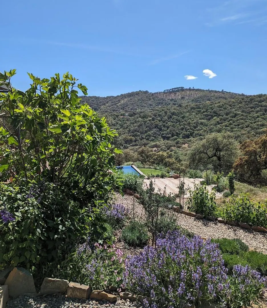 Apartment Finca Bravo Cortegana Spain