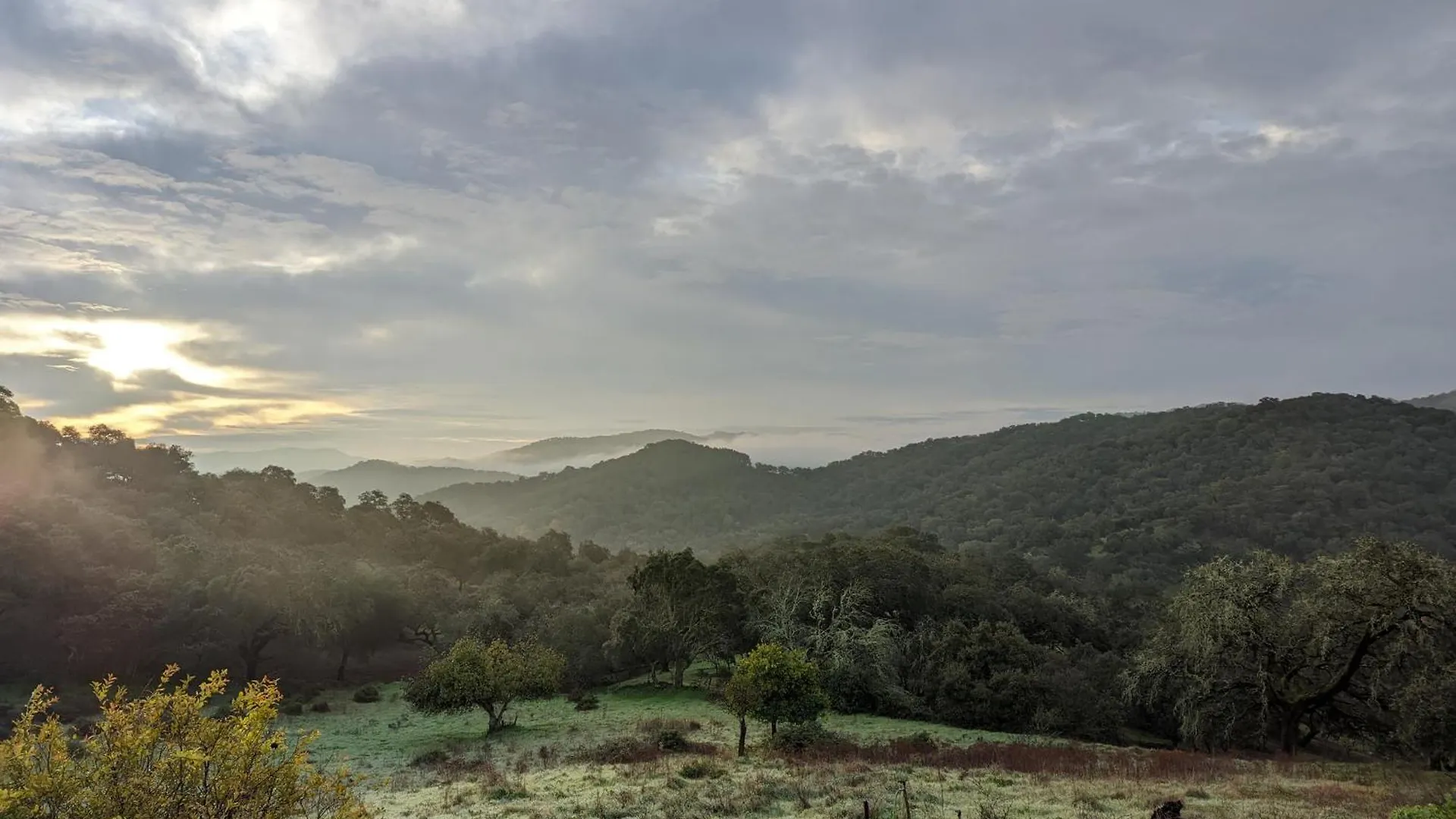 Apartment Finca Bravo Cortegana
