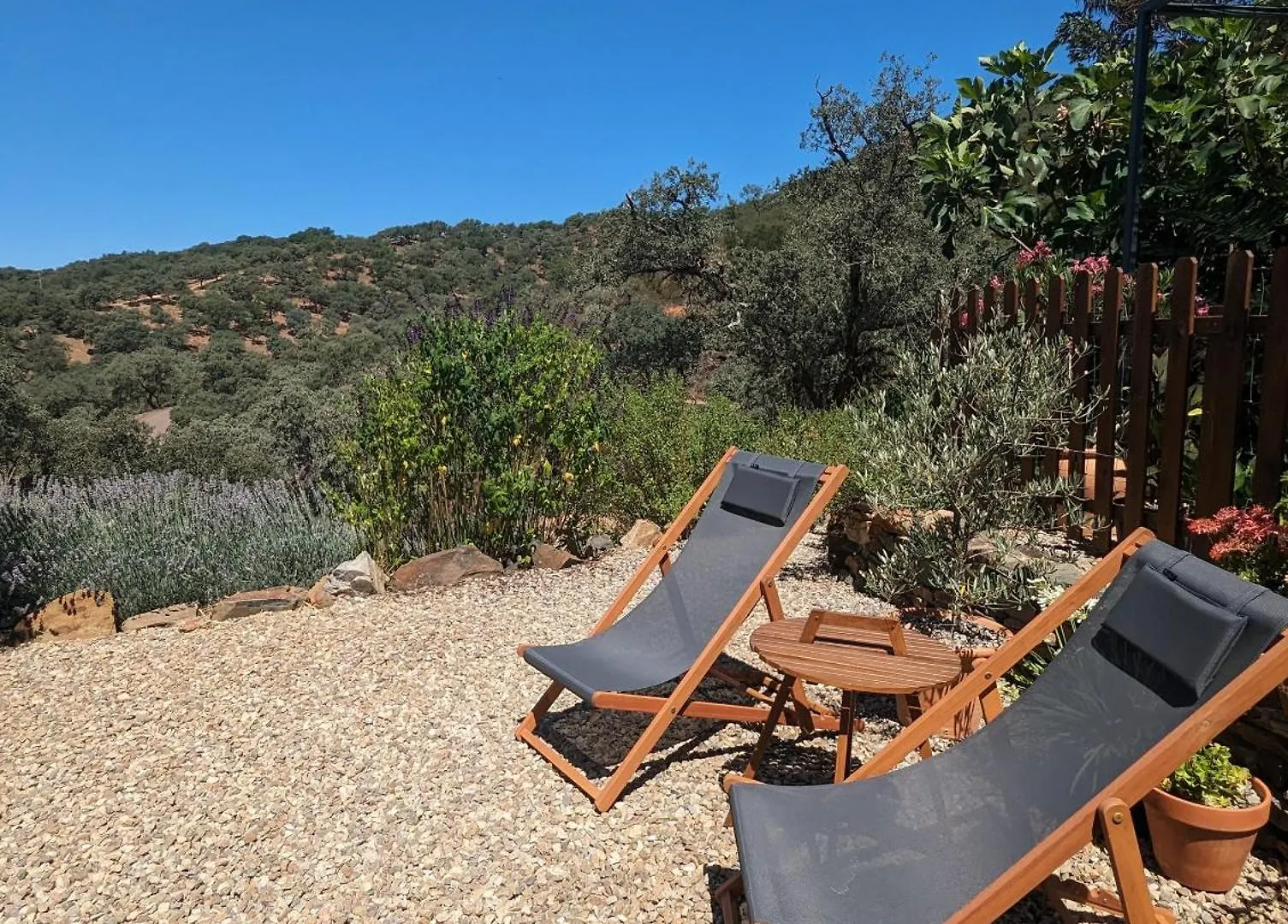 Finca Bravo Cortegana Spain